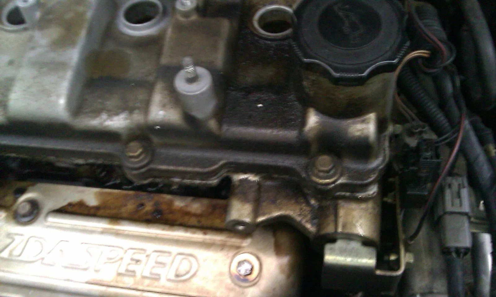 IMAG0067.jpg