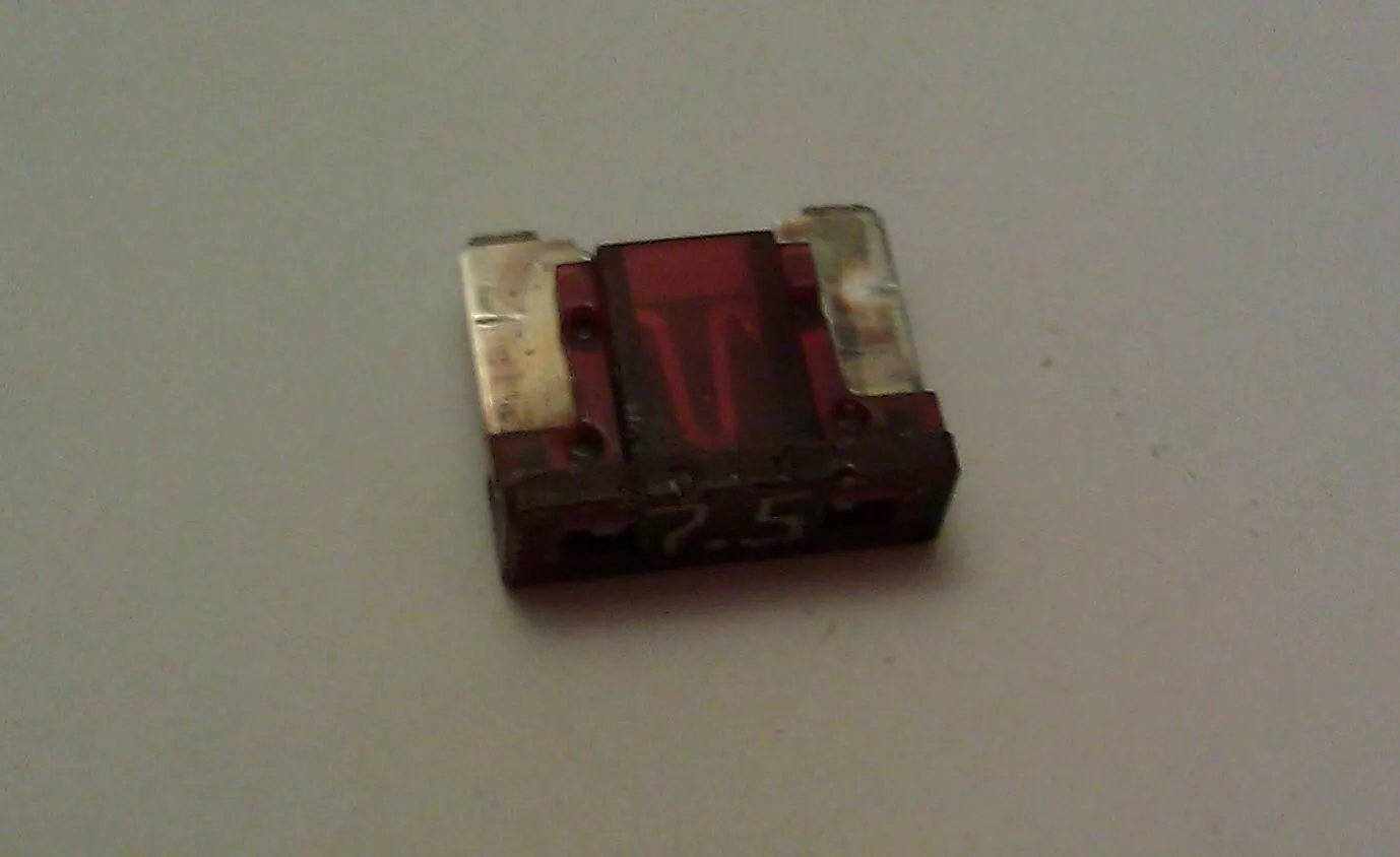 IMAG0076-1.jpg