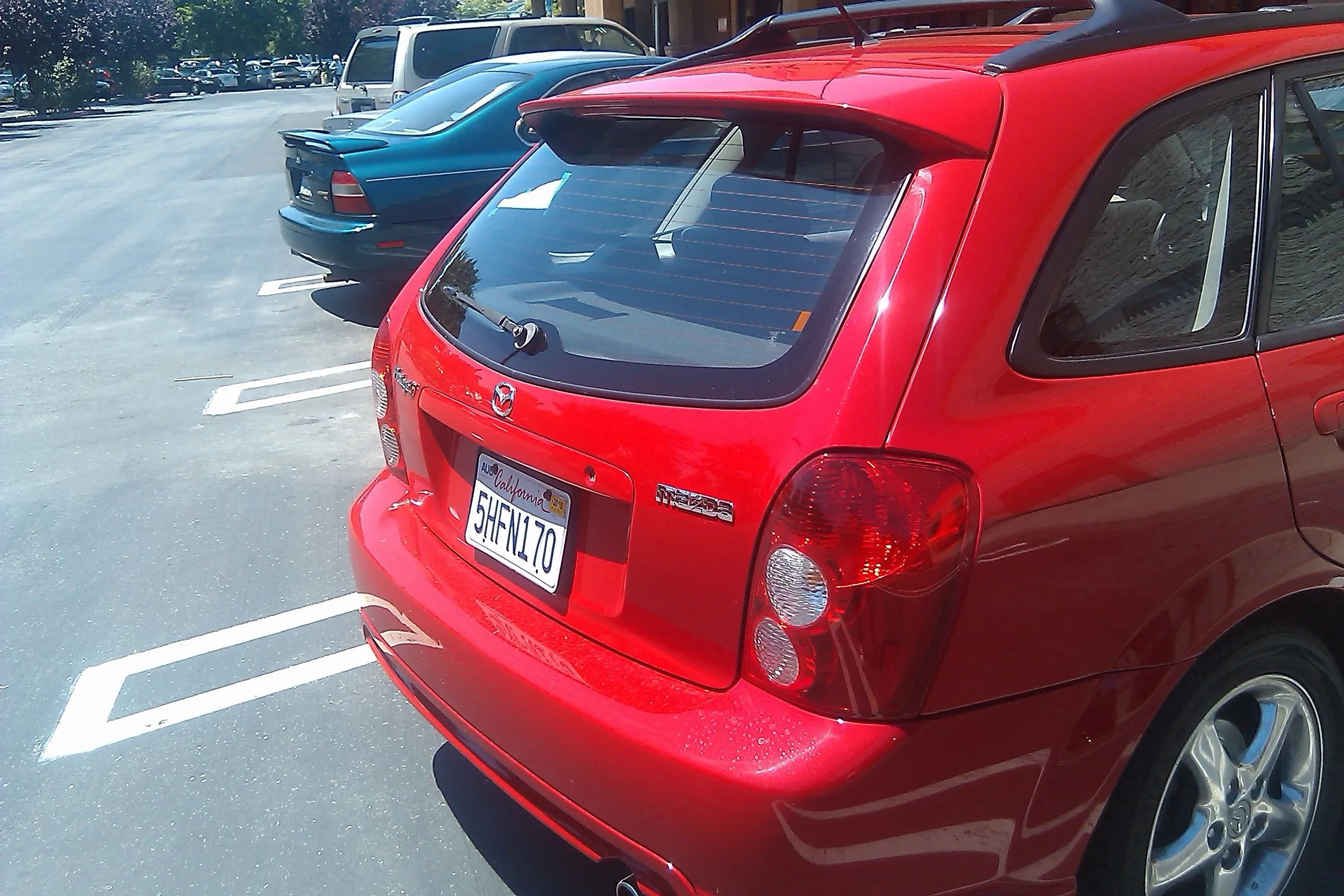 IMAG0099.jpg