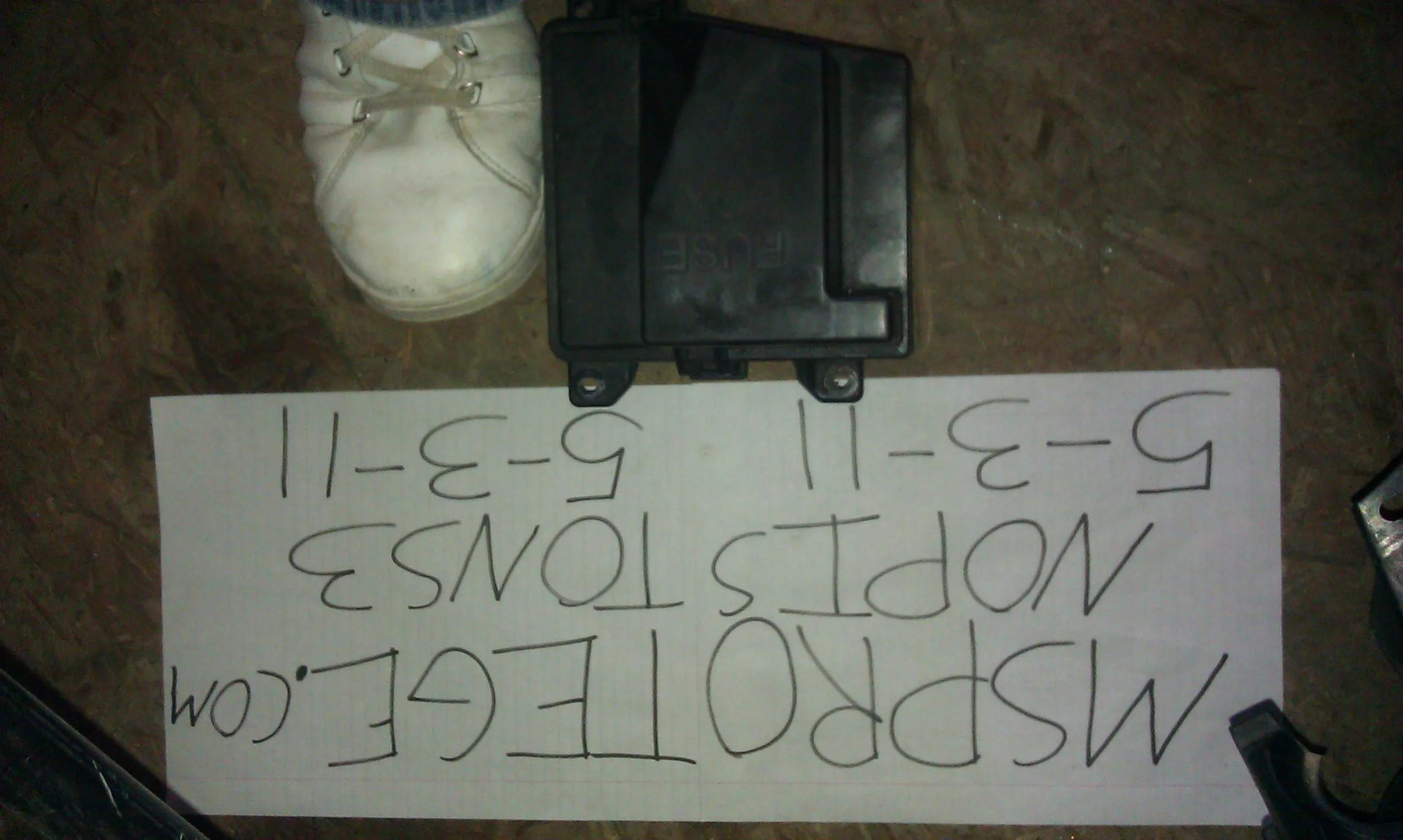 IMAG0159.webp