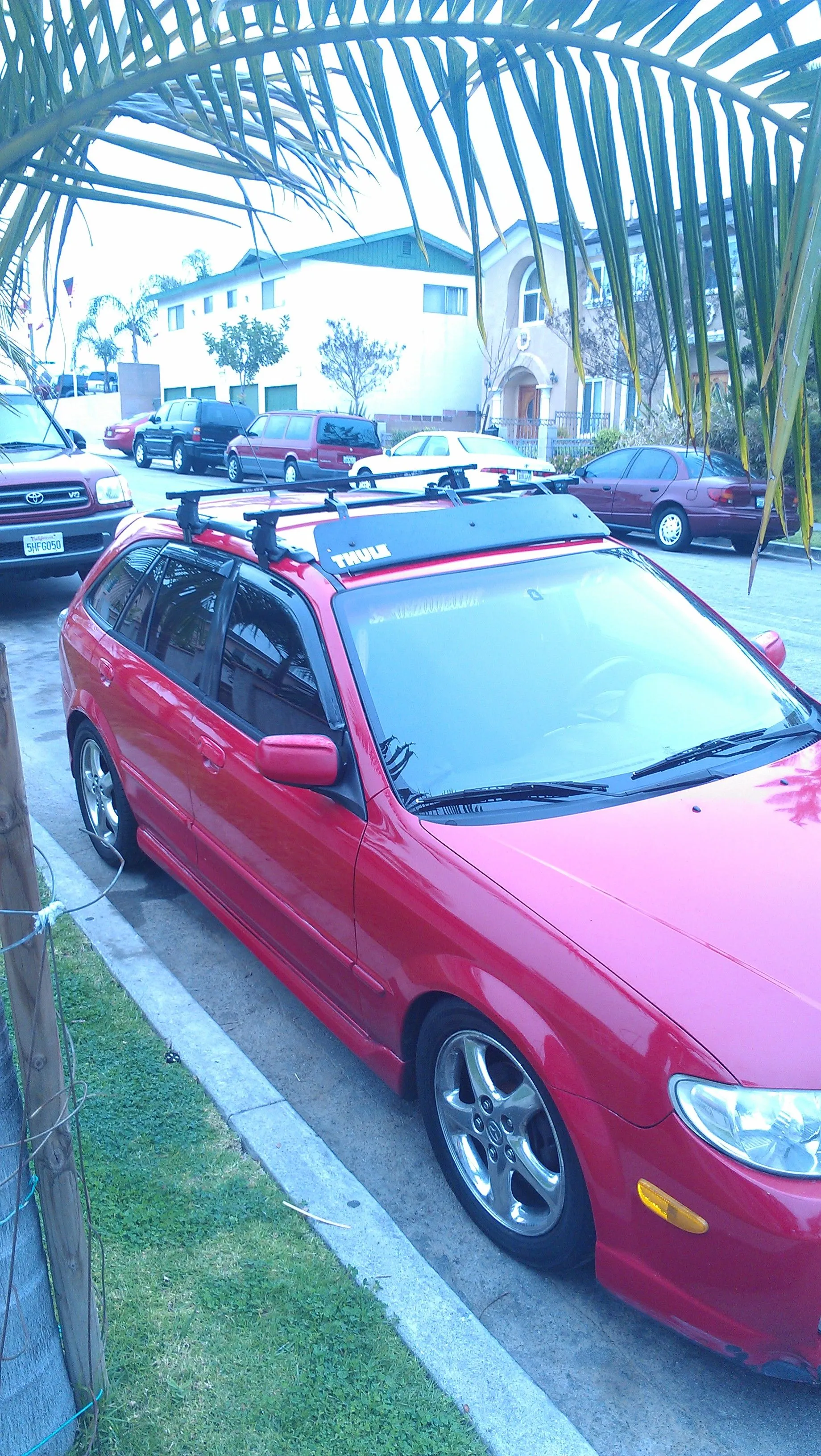 IMAG0234.jpg