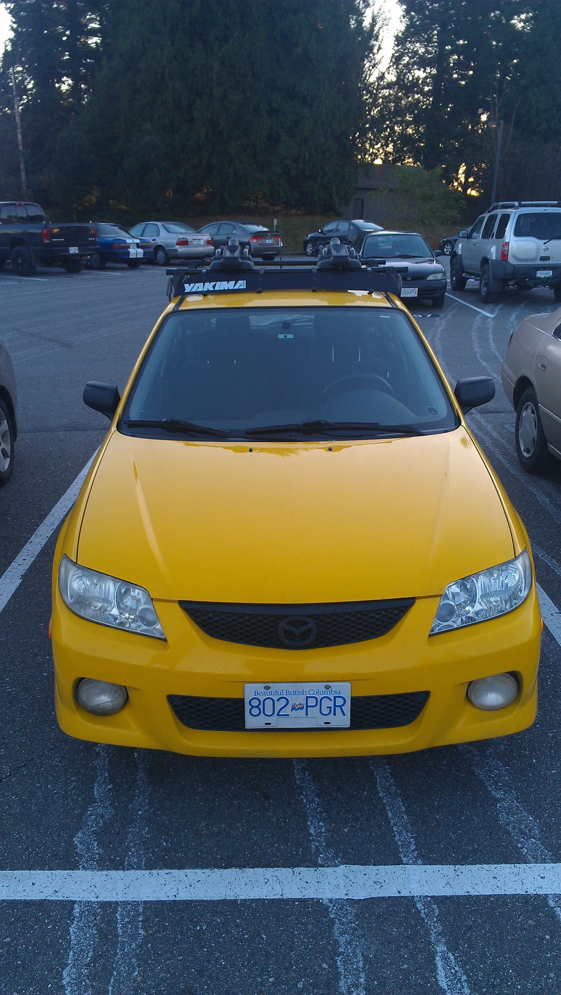 IMAG0276.jpg