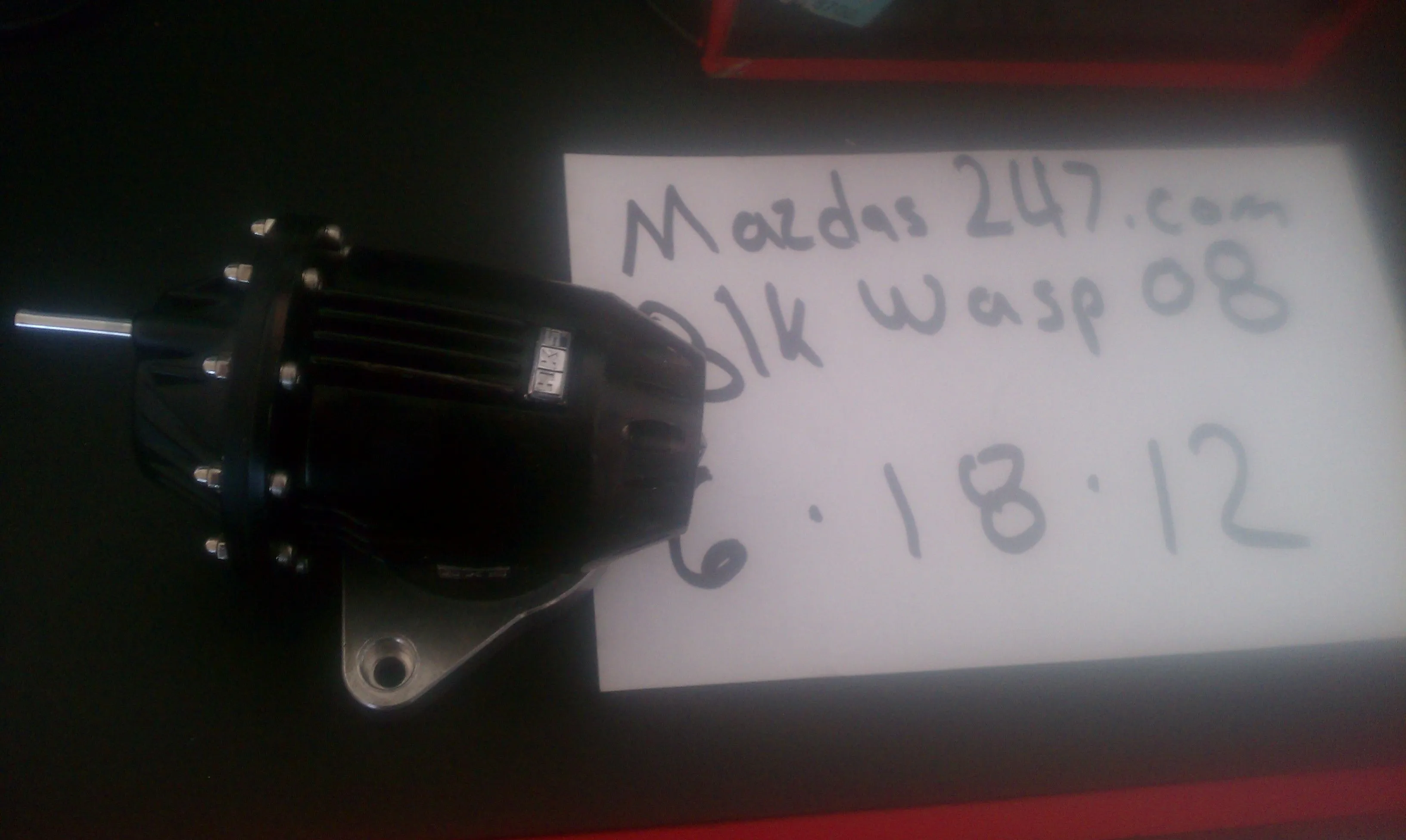 IMAG0283.webp