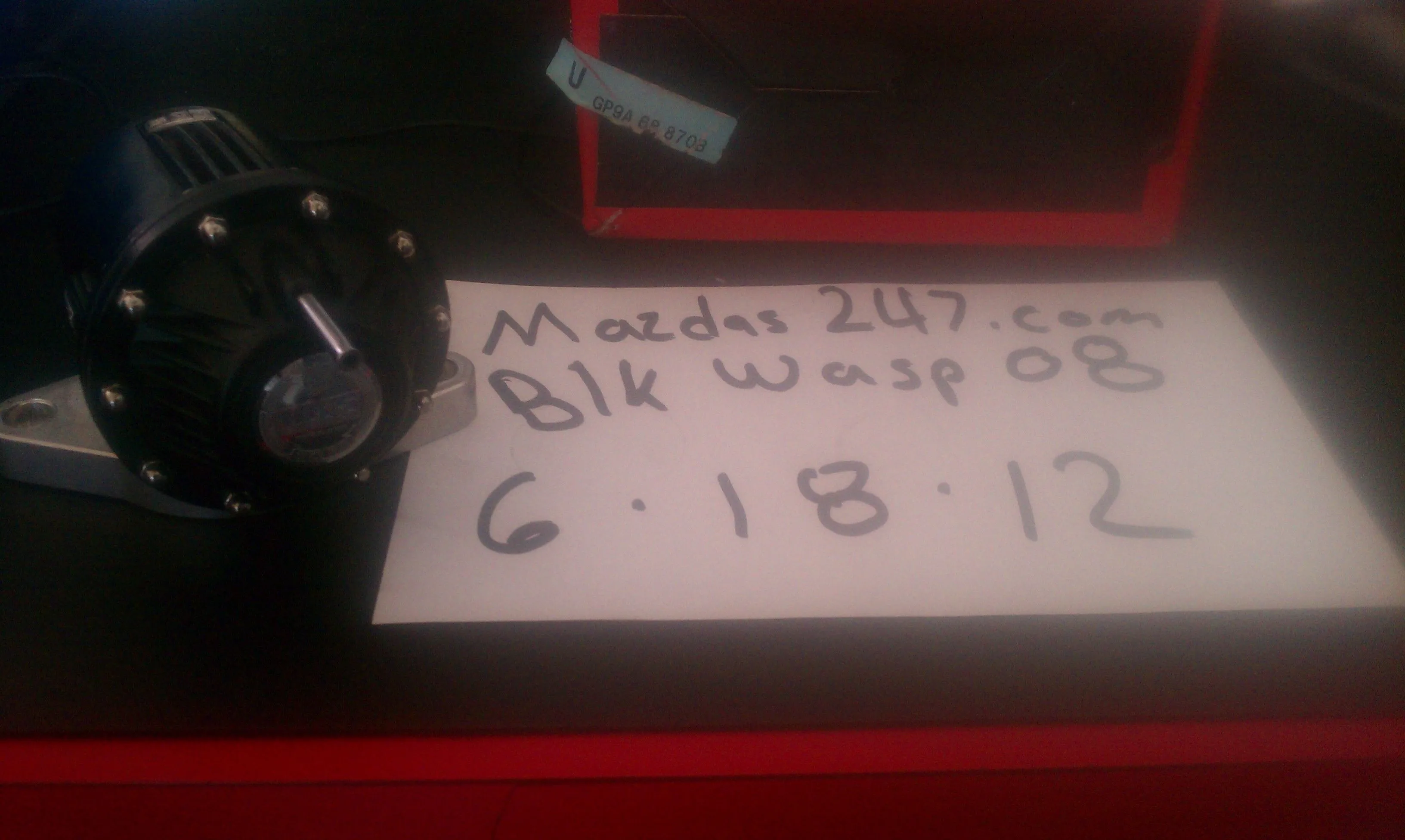 IMAG0286.webp