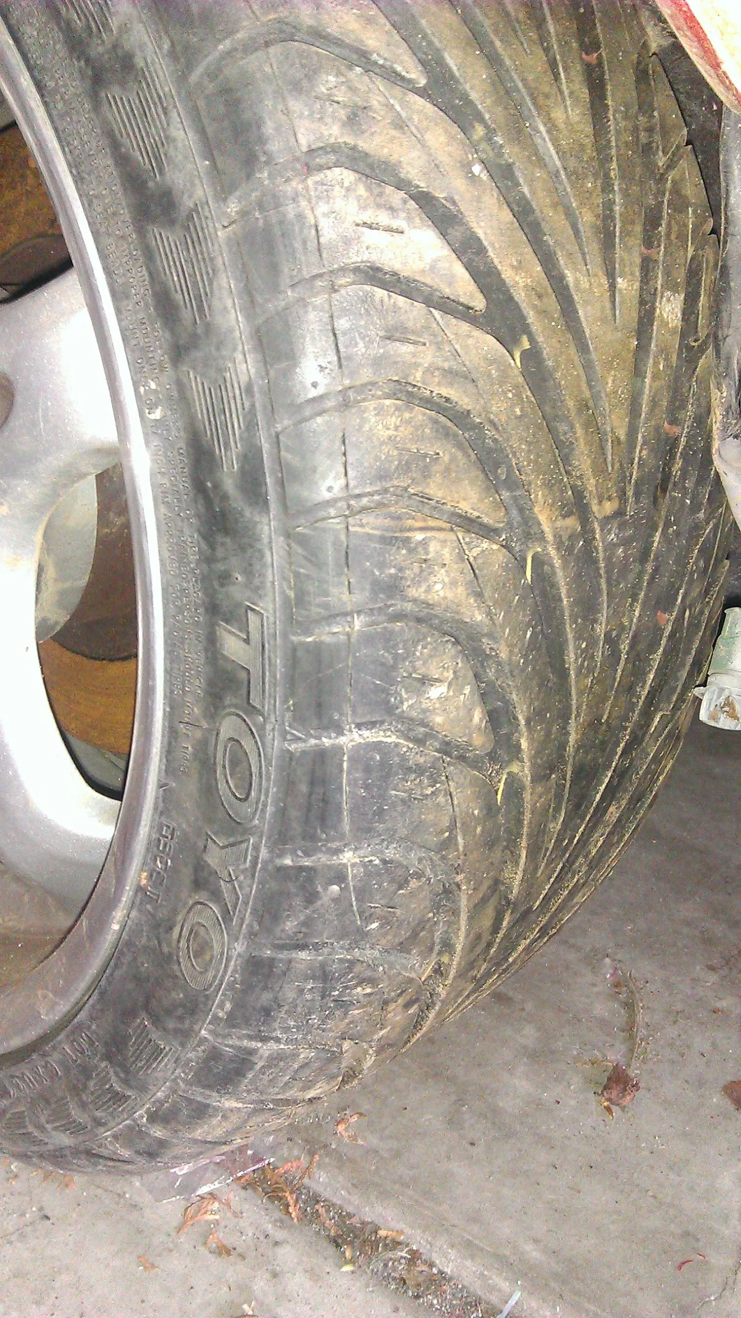 IMAG0356.jpg