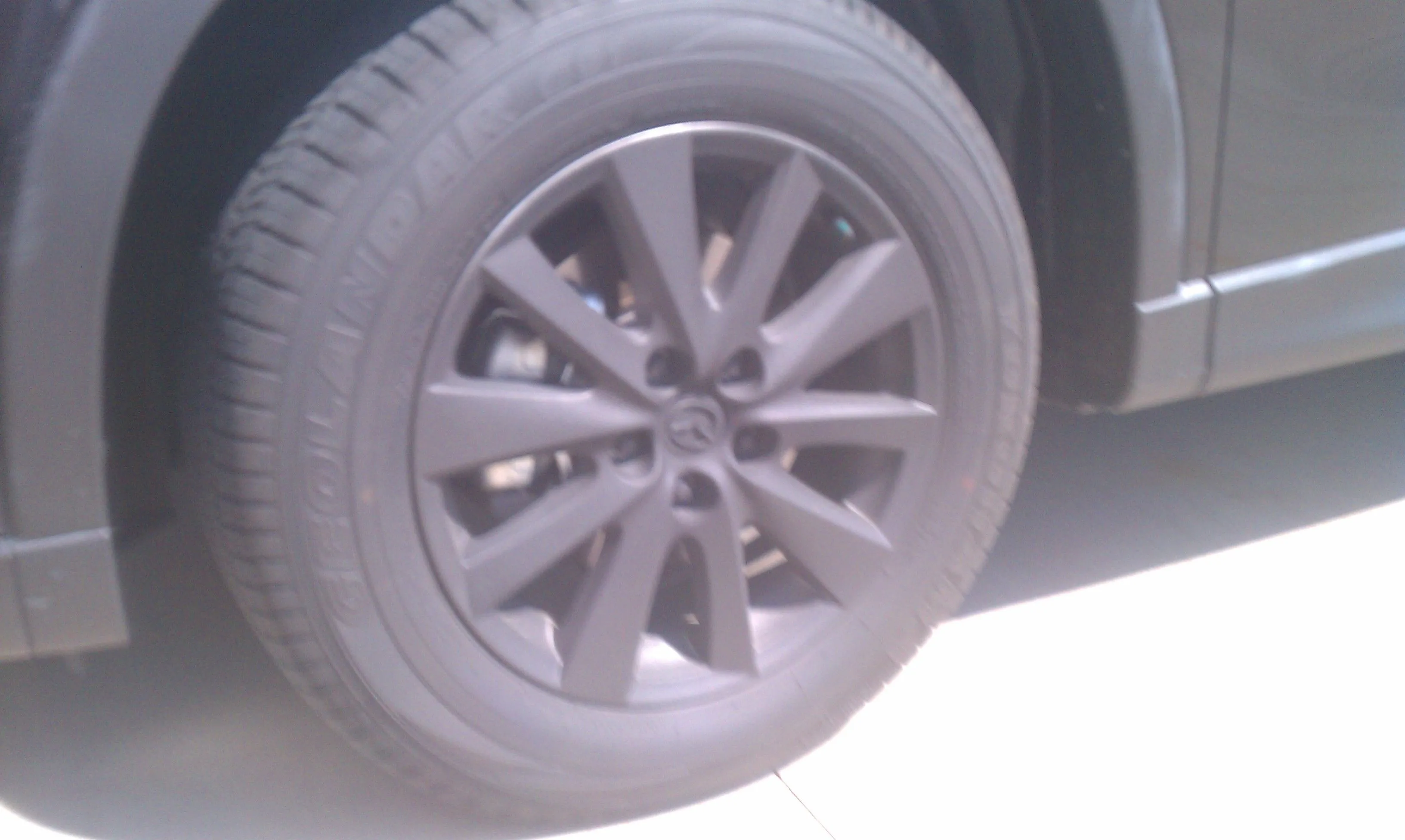IMAG0461.jpg