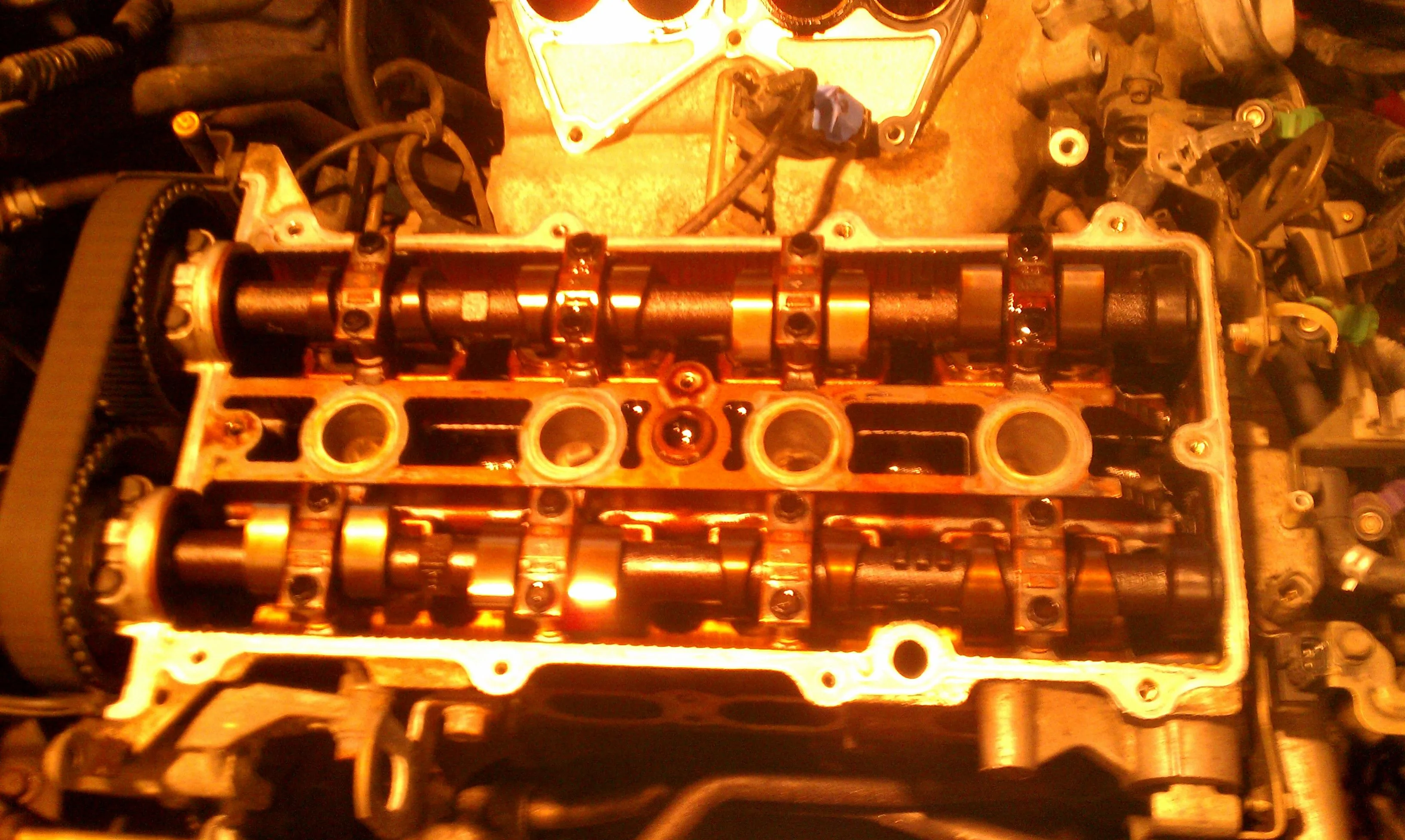 IMAG0784.jpg