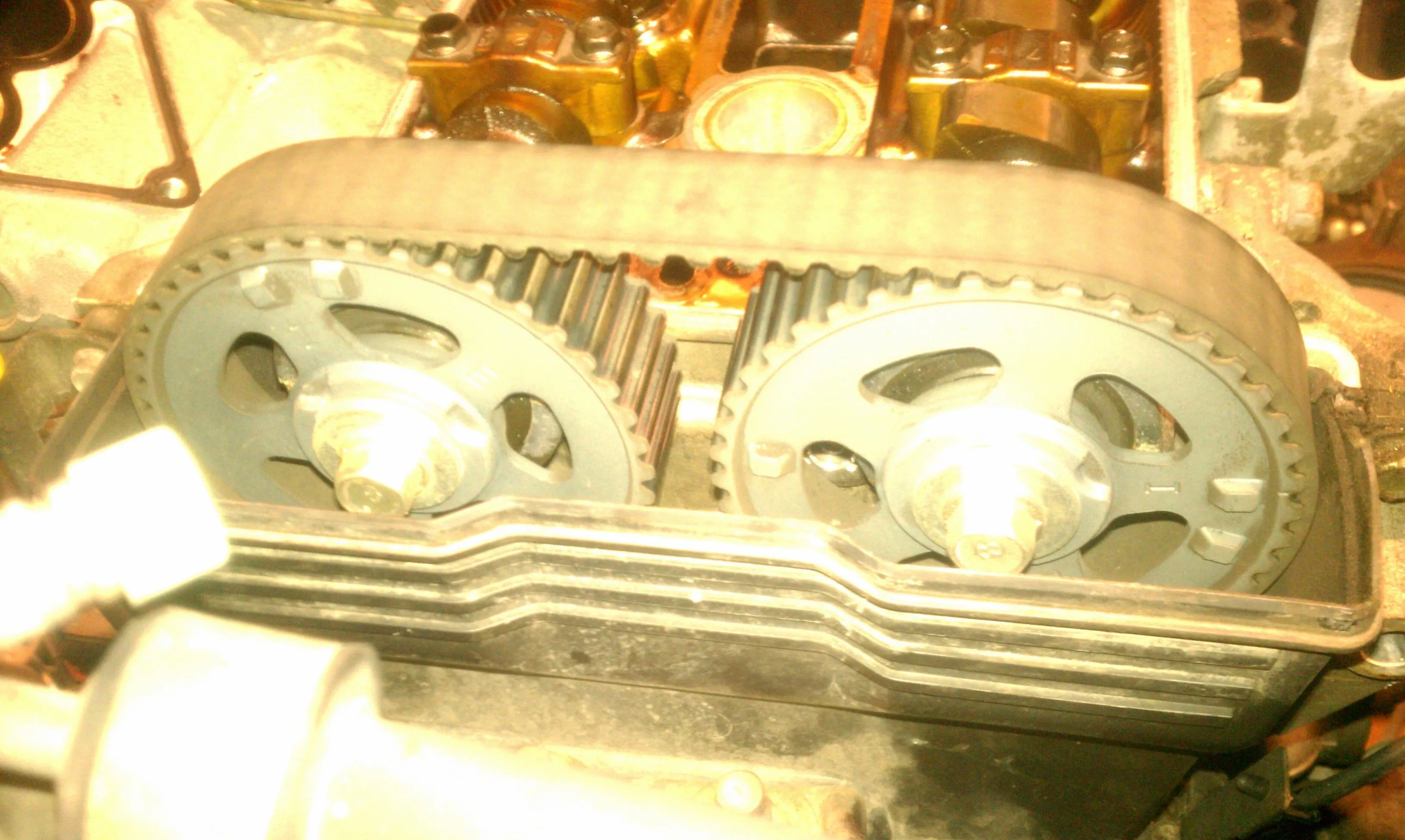 IMAG0786.jpg