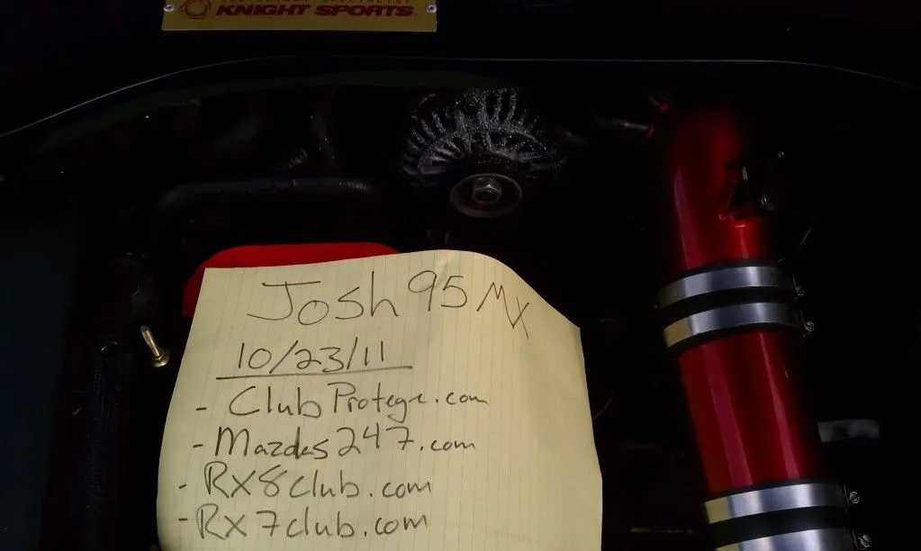 IMAG0994.webp