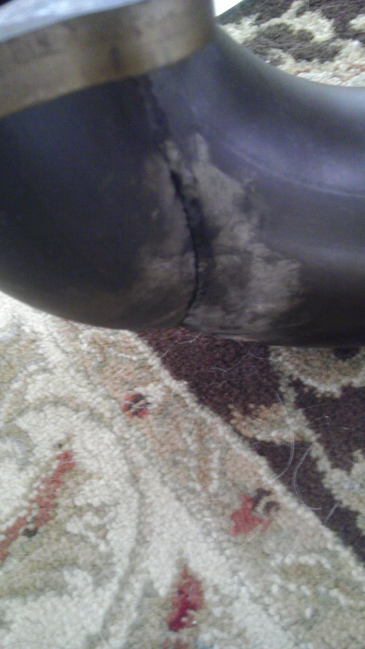 IMAG1641.webp