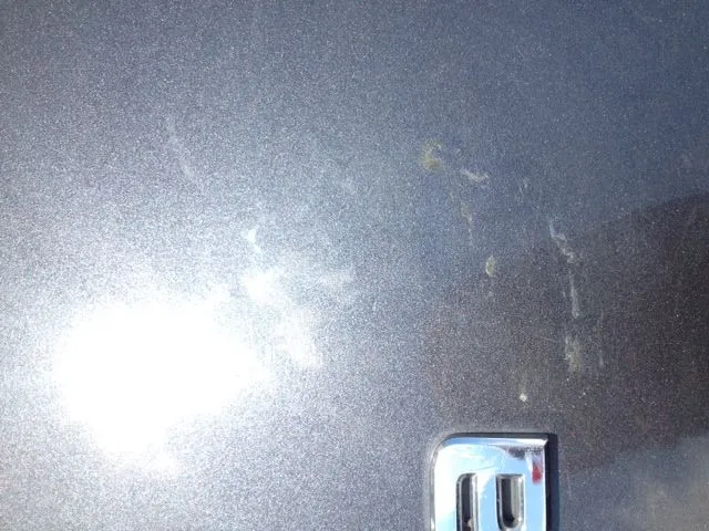 image (2).jpeg
