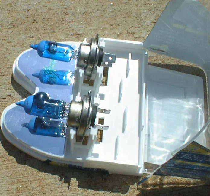 image1.jpg