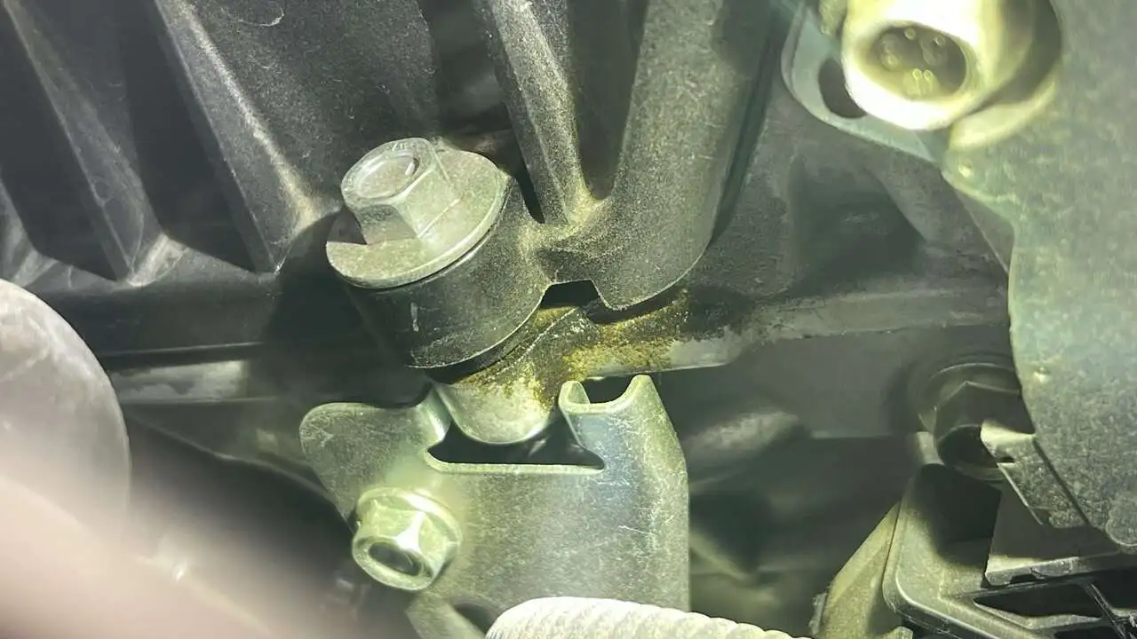 image3 (13).jpeg