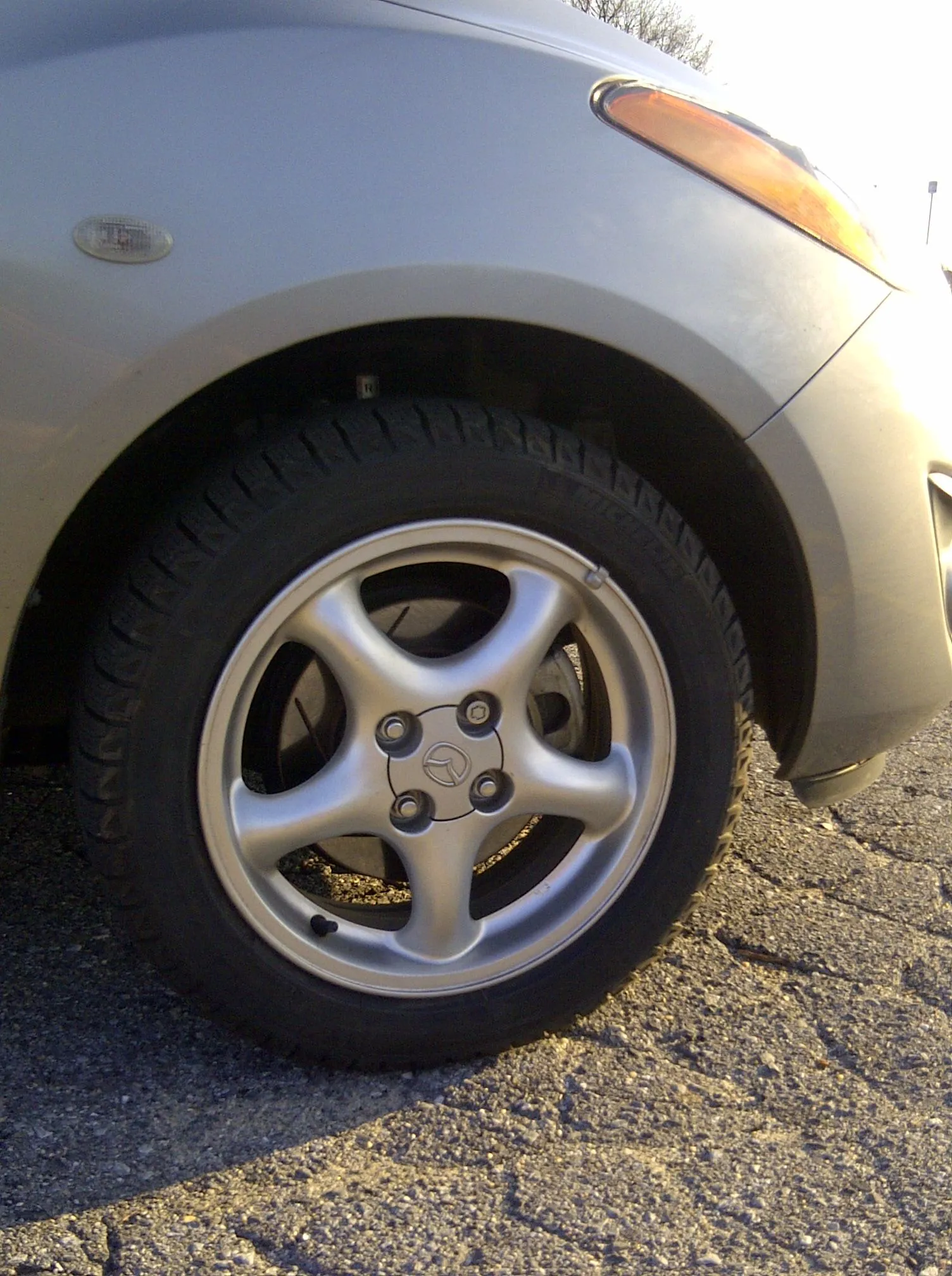 IMG-20130224-00147.jpg