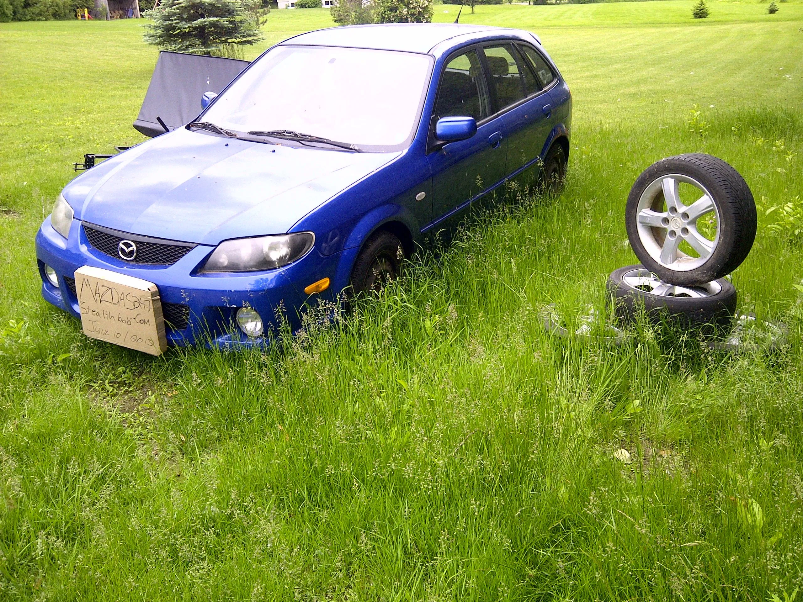 IMG-20130610-00213.webp