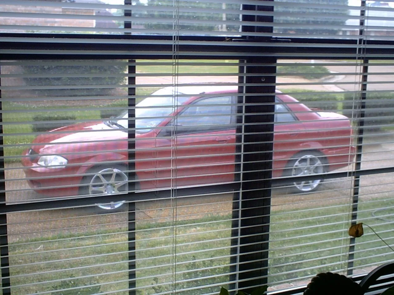 IMG00036.JPG