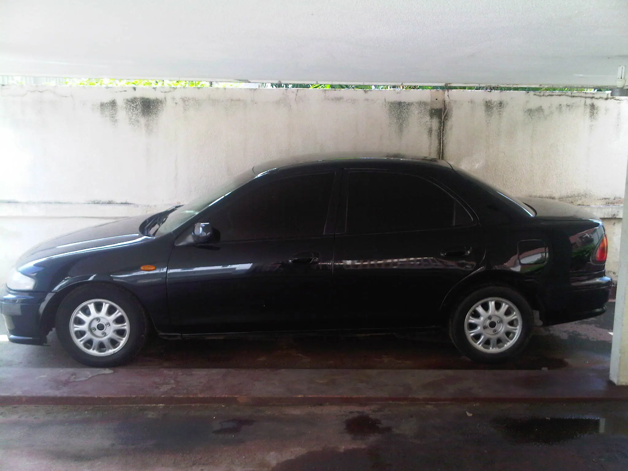 IMG00043-20101002-1436.jpg
