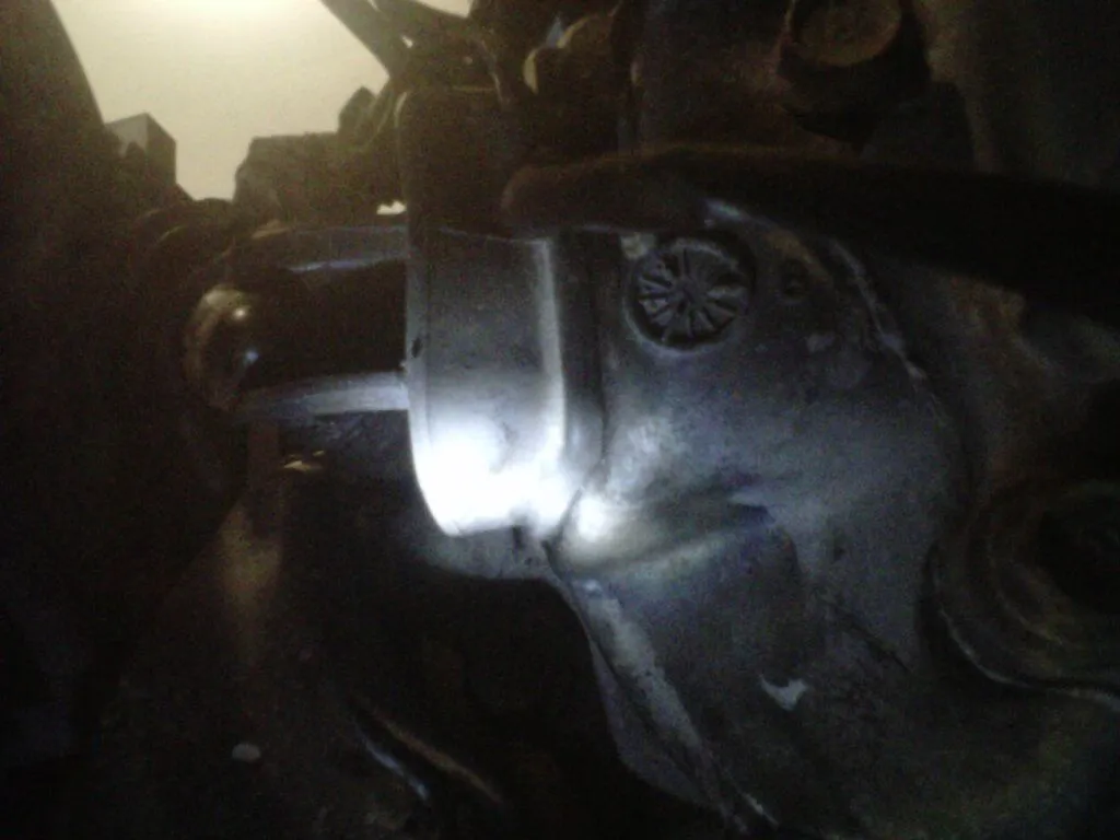 IMG00082-20111129-1550.jpg