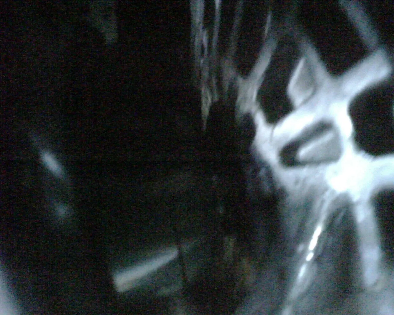 IMG00122.jpg