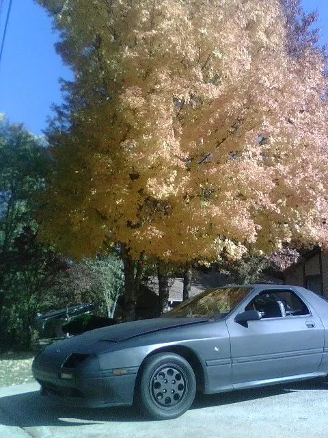 IMG00140.JPG