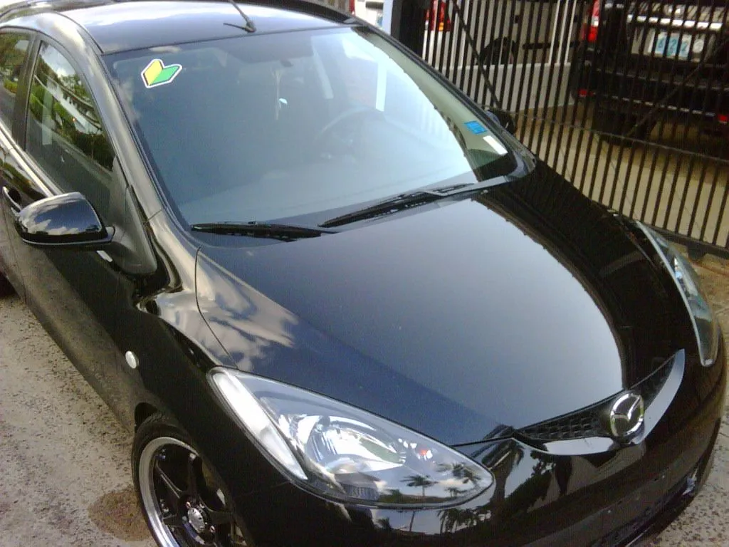 IMG00195-20100327-1722.jpg