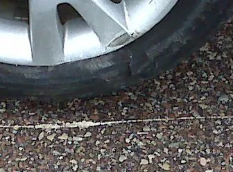 IMG00201.jpg