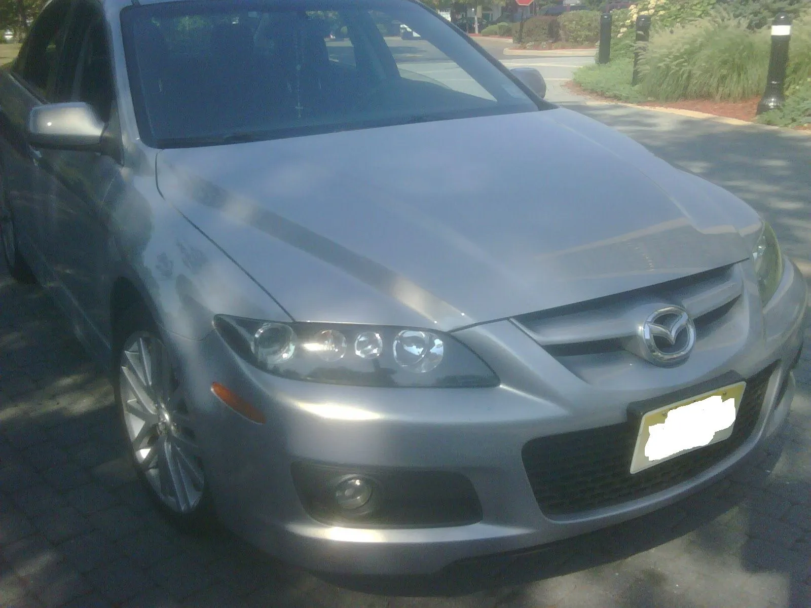 IMG00203-20100819-1544.jpg