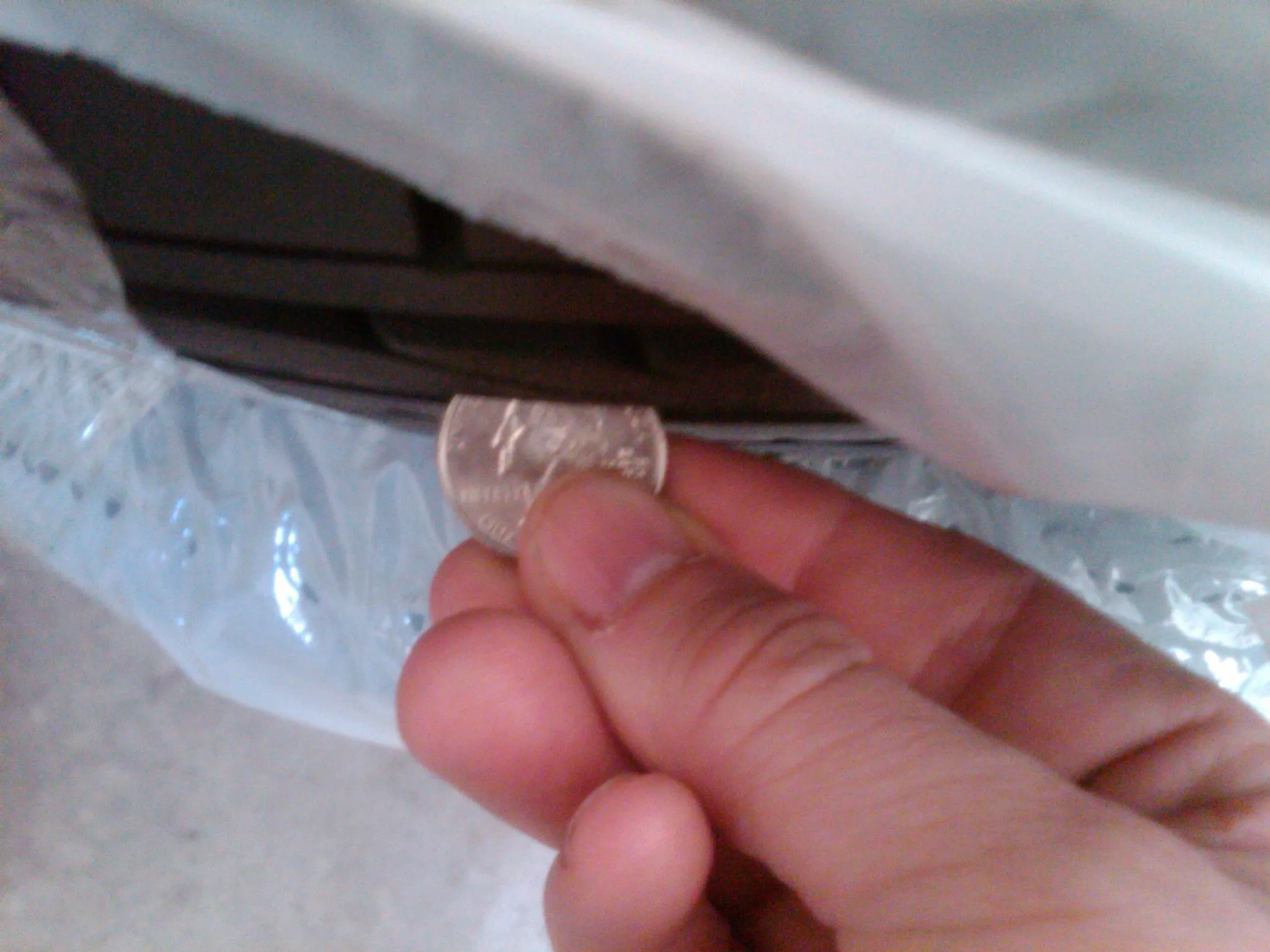 IMG00209-20120627-1815.webp