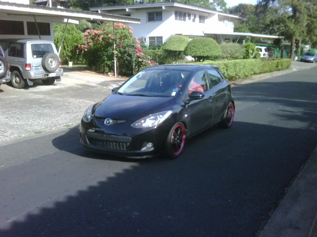 IMG00264-20100411-1624.jpg