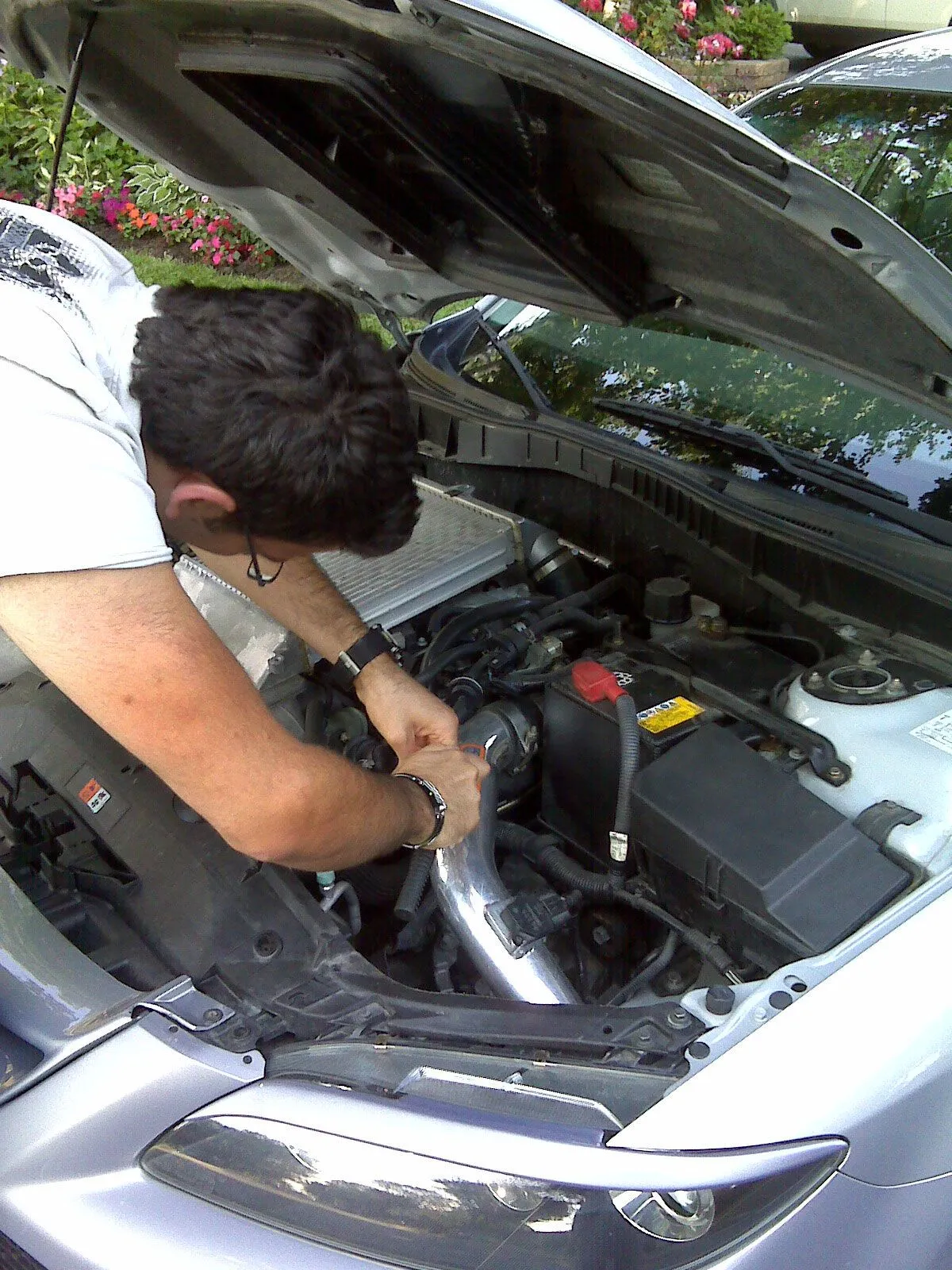 IMG00266.jpg