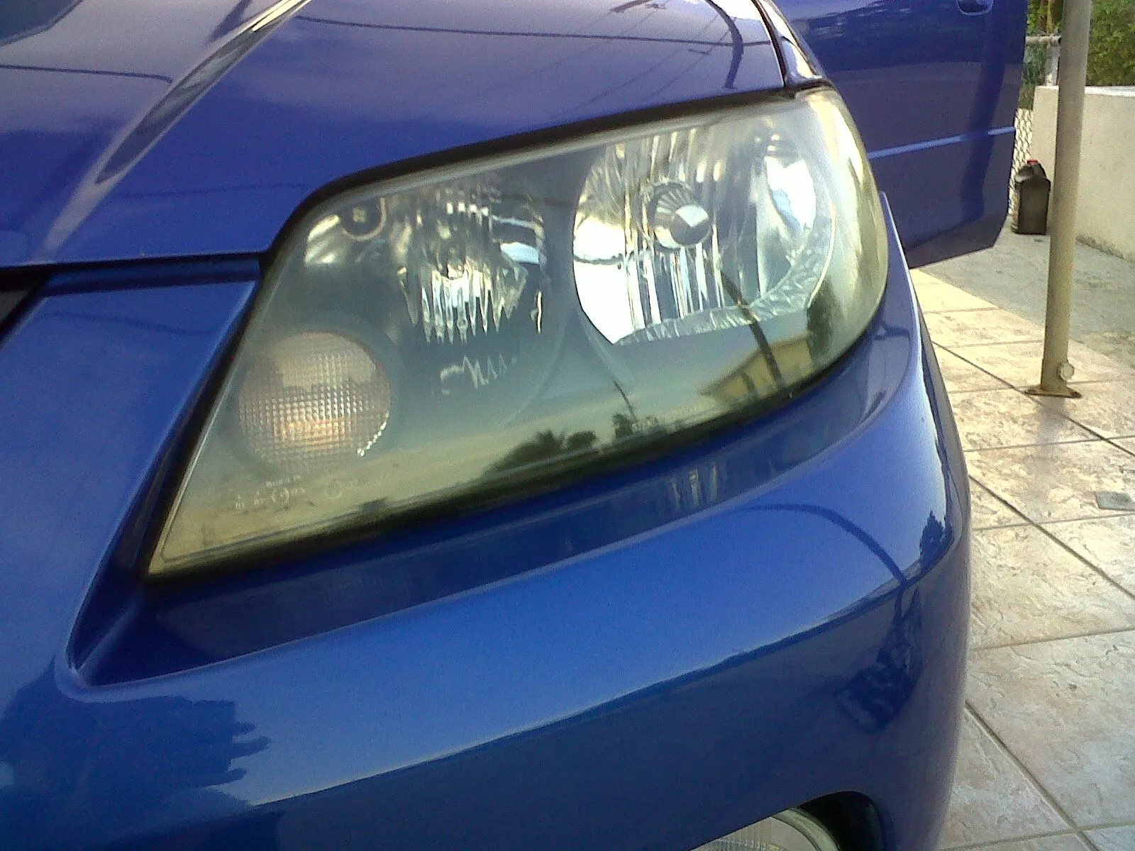 IMG00298-20100619-1812.jpg
