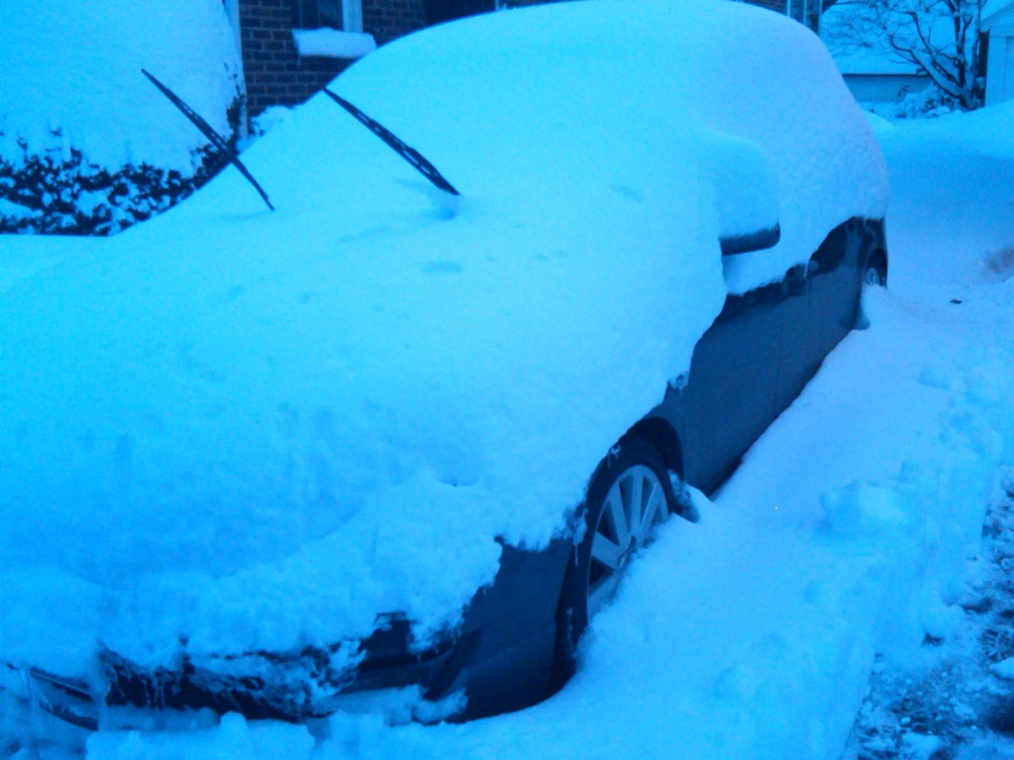 IMG00323-20110127-1719.jpg