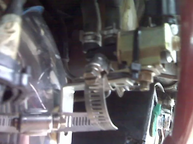 IMG00712.jpg