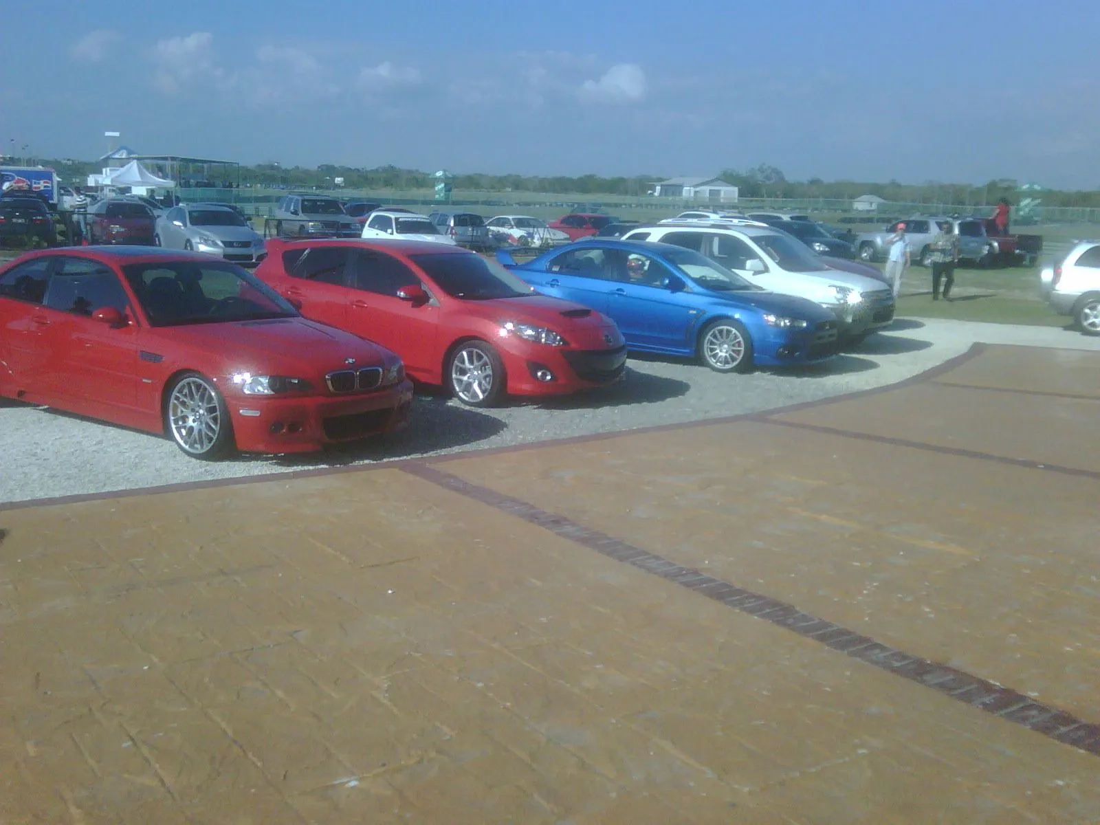 IMG00823-20100131-1609.jpg