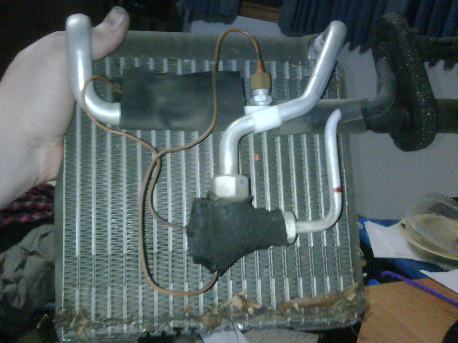 IMG01396-20111219-1643.jpg