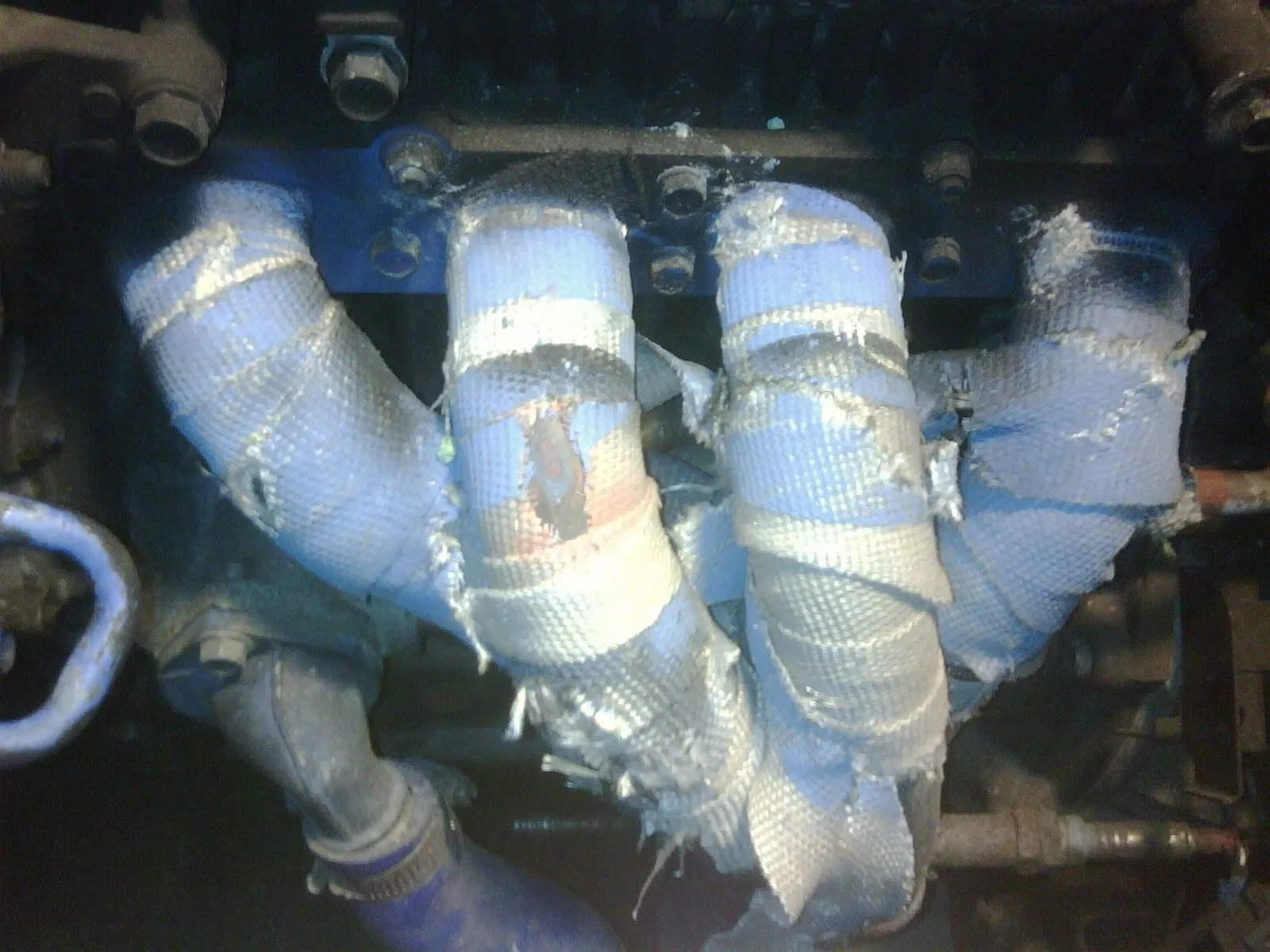 IMG01417-20111220-1147.jpg