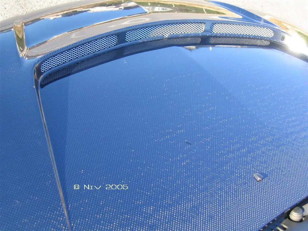 IMG_0028 (Large)copyright28.webp