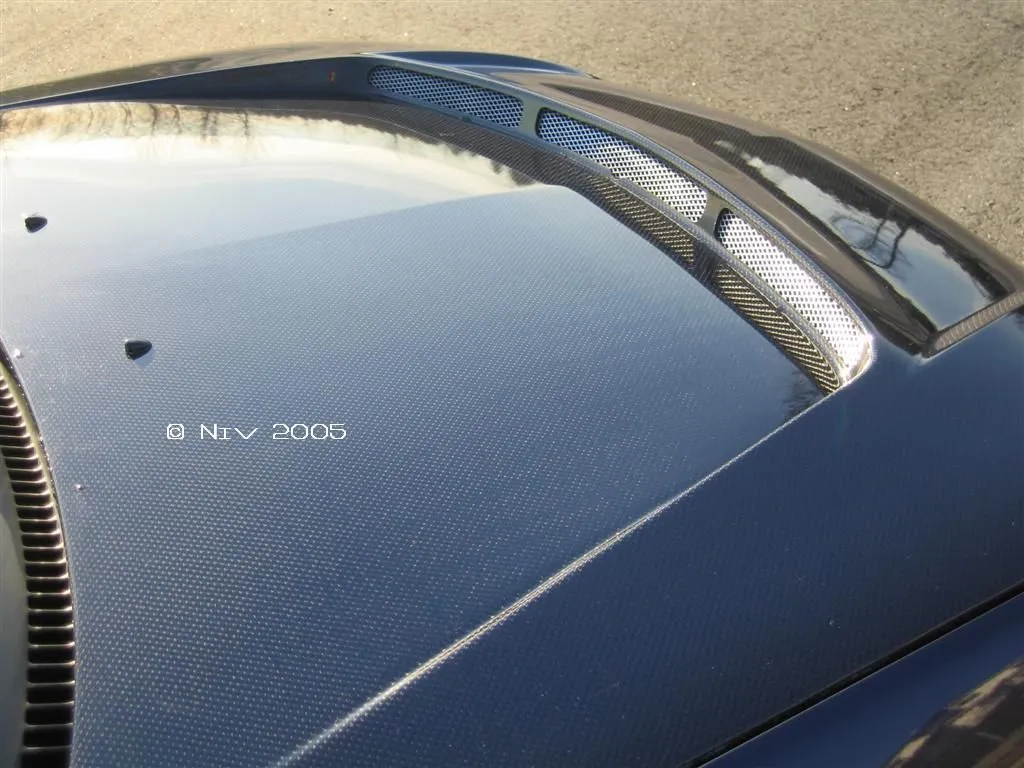 IMG_0029 (Large)copyright29.webp