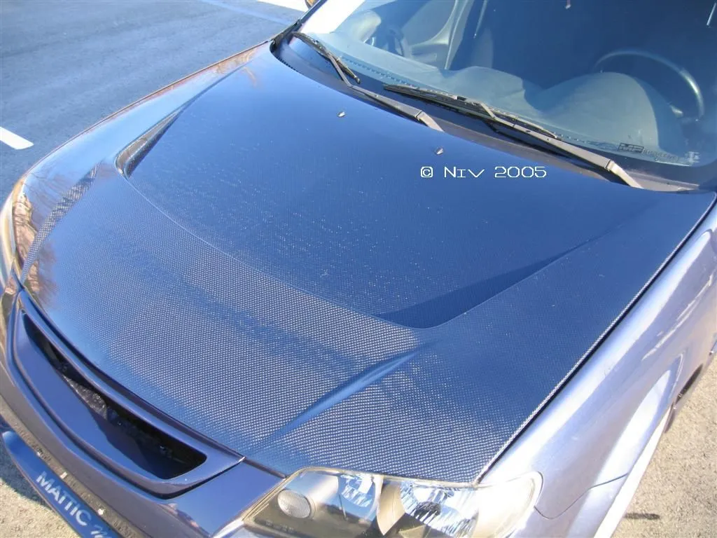 IMG_0033 (Large)copyright33.webp