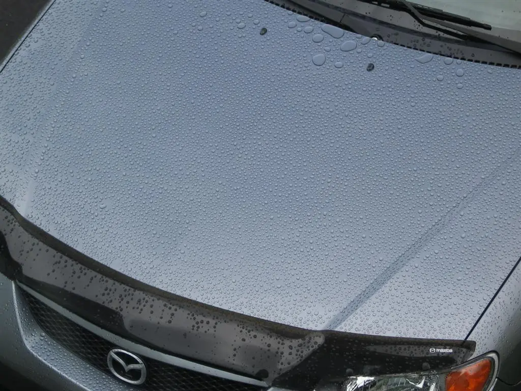 IMG_0037 (Large).webp