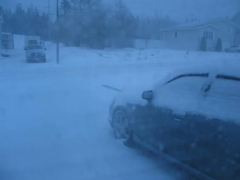 IMG_0042 (Medium).webp