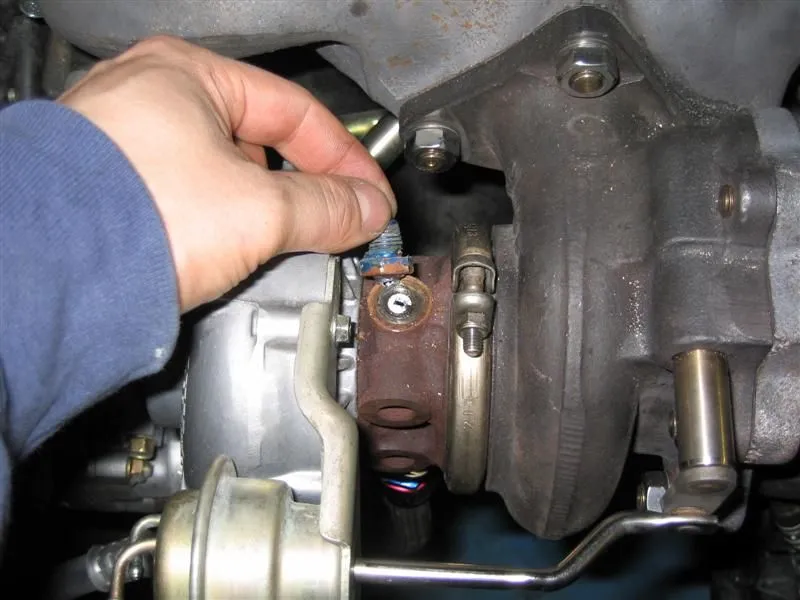 IMG_0088 (Medium).webp