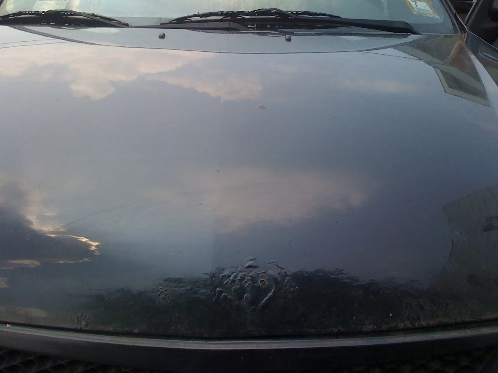 IMG_0107.webp
