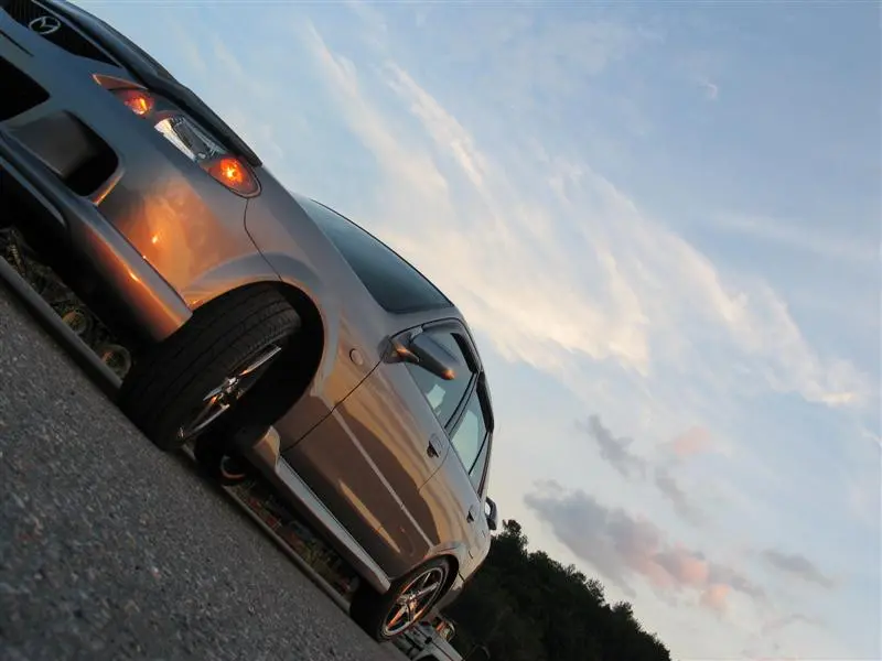 IMG_0237 (Medium).webp