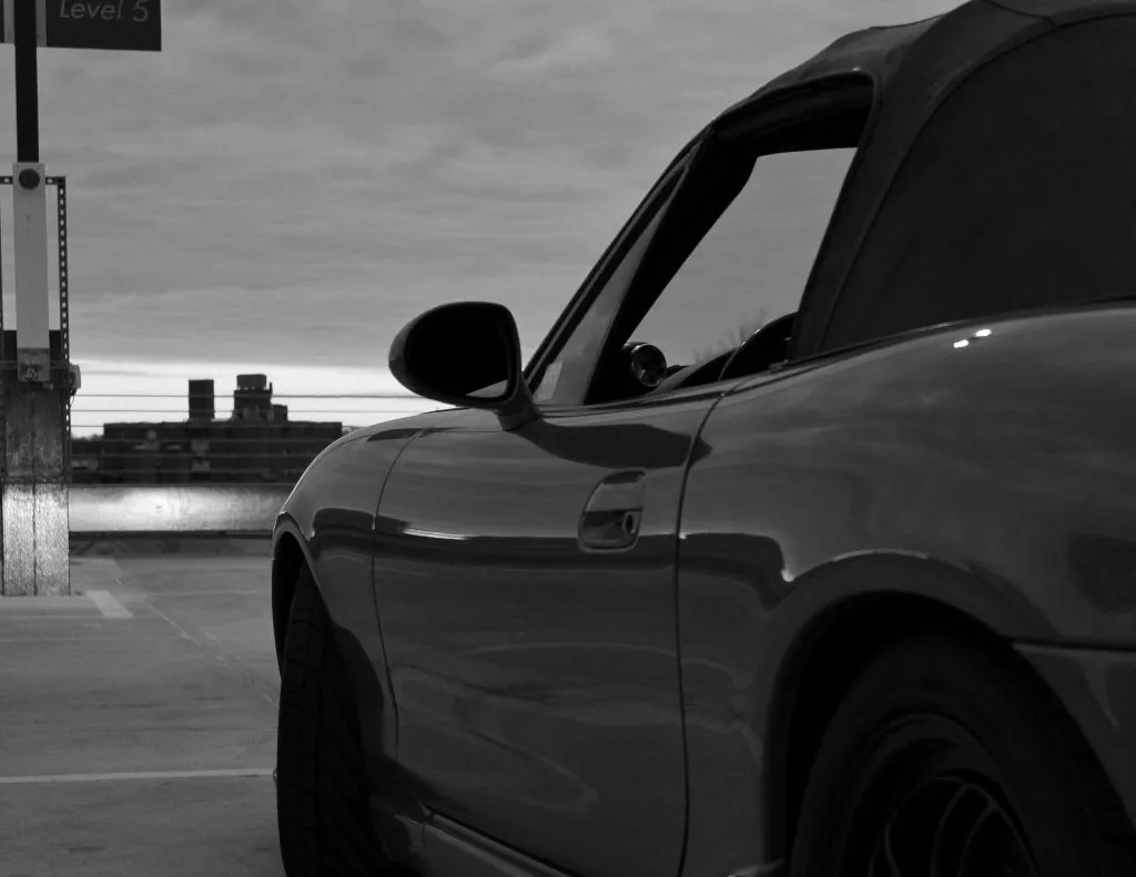 IMG_0324 (1024x791).webp