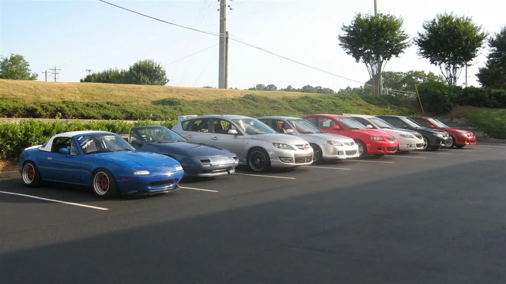 IMG_0402 (Large).webp