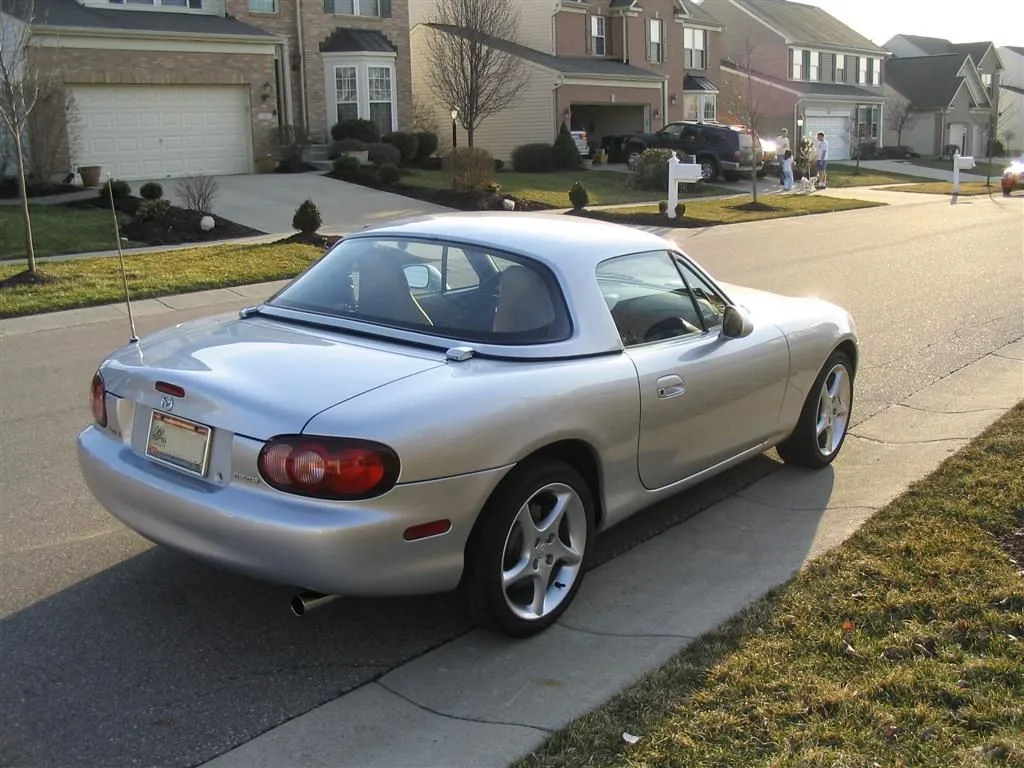 IMG_0833 (Large).webp