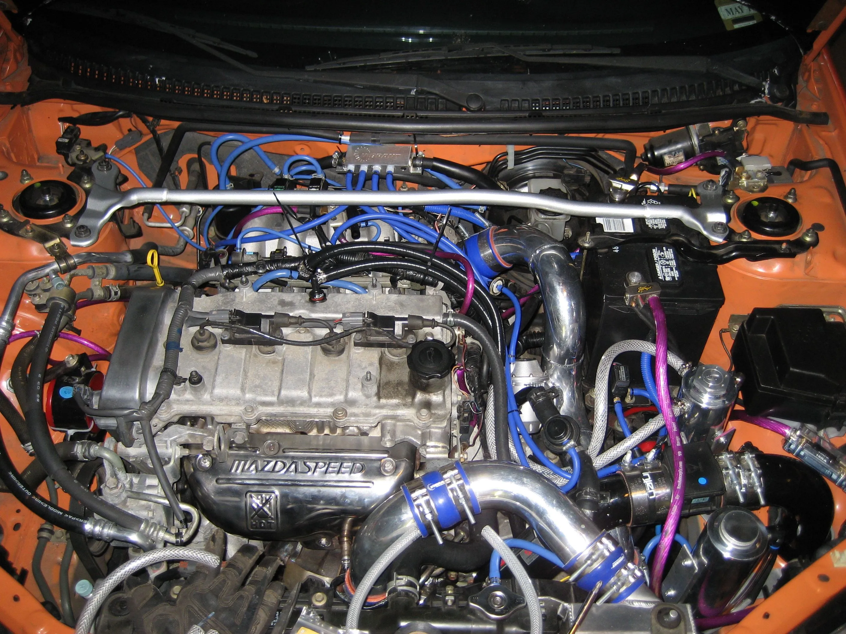IMG_1186.JPG