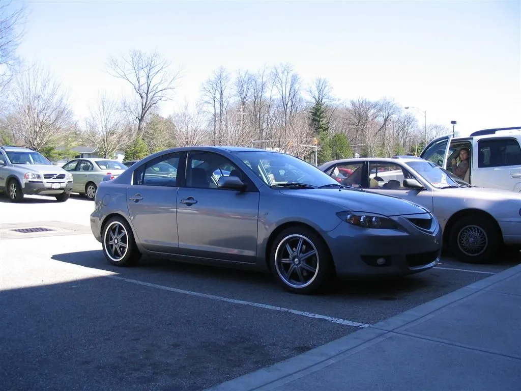 IMG_1694 (Large).JPG