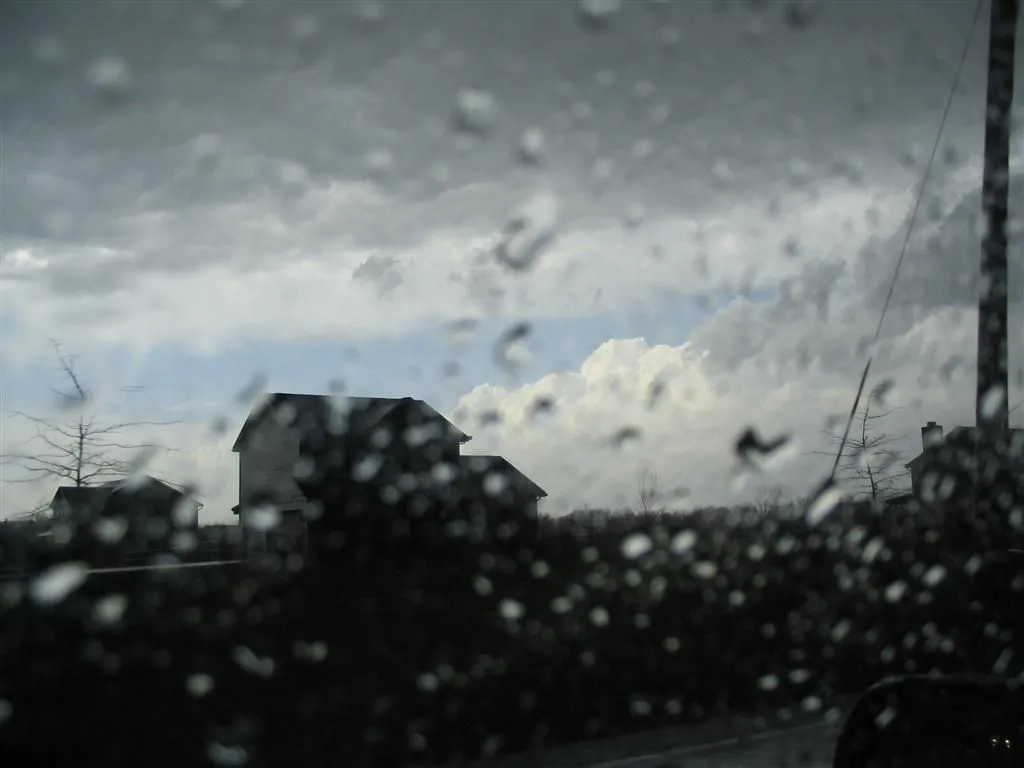 IMG_1707 (Large).webp